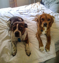 Lani and Stevie